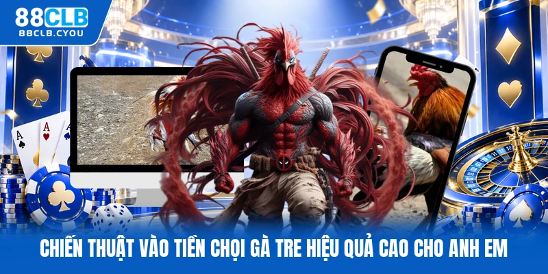 Chiến thuật vào tiền chọi gà tre hiệu quả cao cho anh em