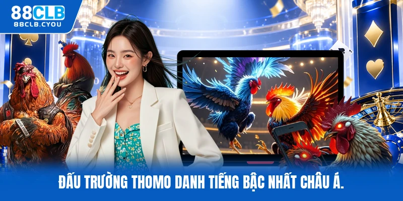 Đấu trường Thomo danh tiếng bậc nhất châu Á