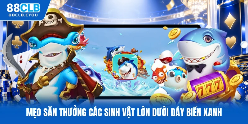 Mẹo săn thưởng các sinh vật lớn dưới đáy biển xanh