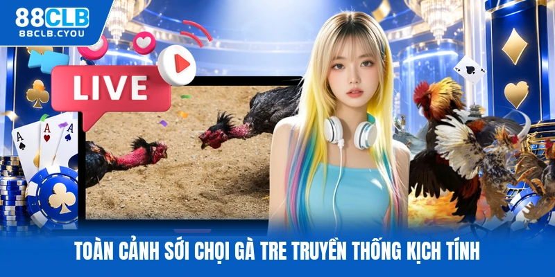 Toàn cảnh sới chọi gà tre truyền thống kịch tính